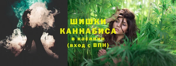 дурь Алзамай