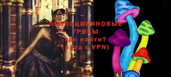 дурь Алзамай