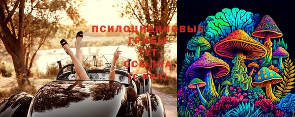 дурь Алзамай