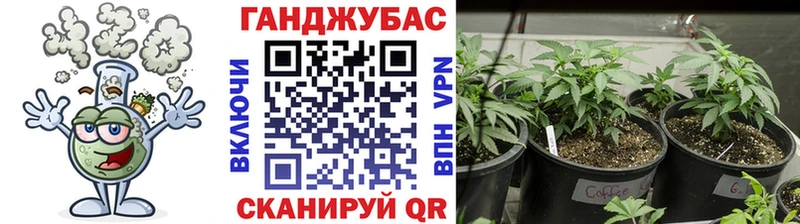 Канабис гибрид  гидра зеркало  Петрозаводск  купить закладку 